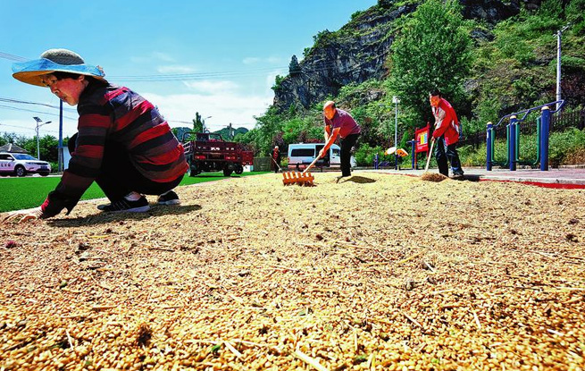 風(fēng)吹麥浪 顆粒歸倉