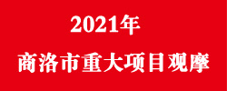 2021年商洛市重大項(xiàng)目觀摩
