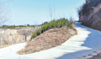 藍(lán)關(guān)道上