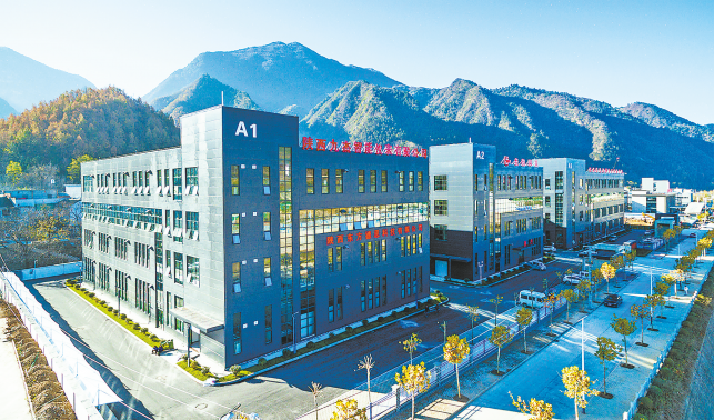 持續(xù)優(yōu)化營商環(huán)境 做大做強產業(yè)規(guī)模