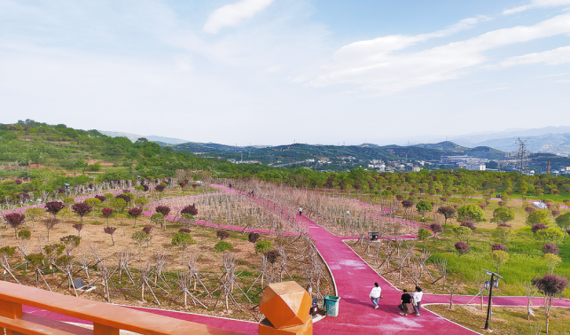 用心守護(hù)，只為綠滿青山