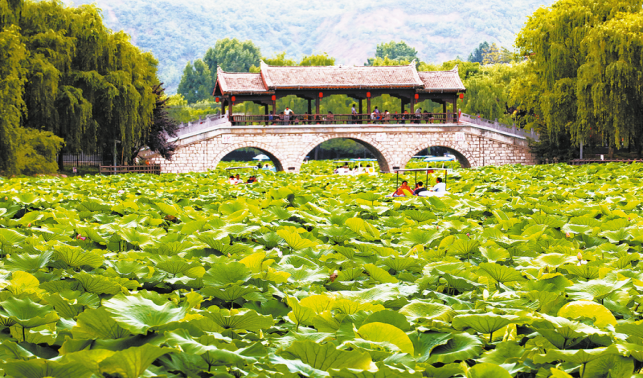 好山好水好氣候 商洛如何借“綠”生“金”？