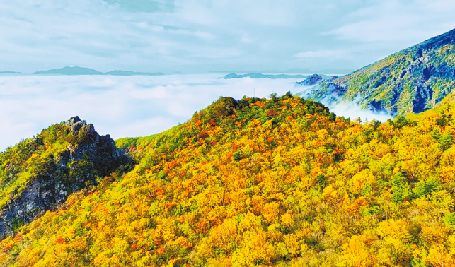 在商洛，邂逅最美秋色