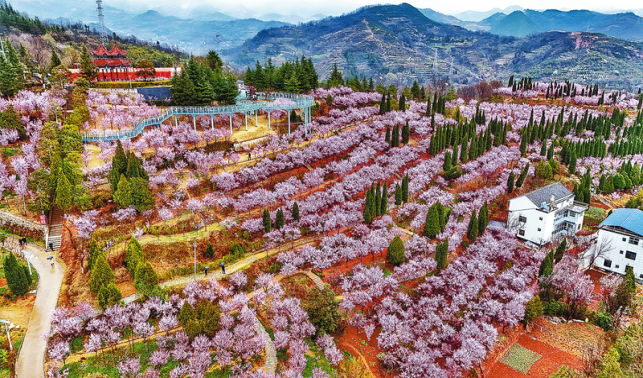 紅梅花開(kāi)春意濃