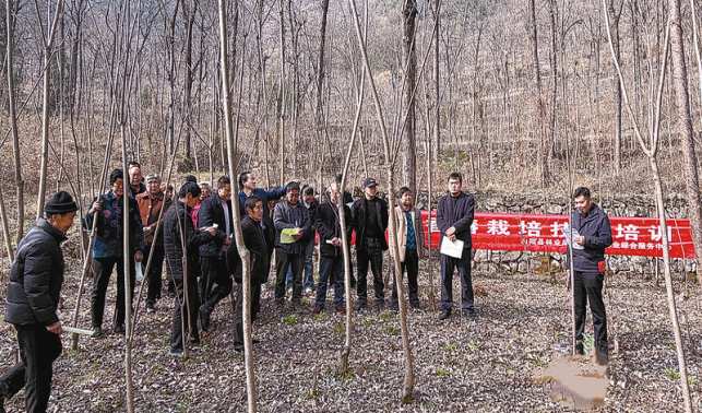 南寬坪鎮(zhèn)“田間課堂”促增收