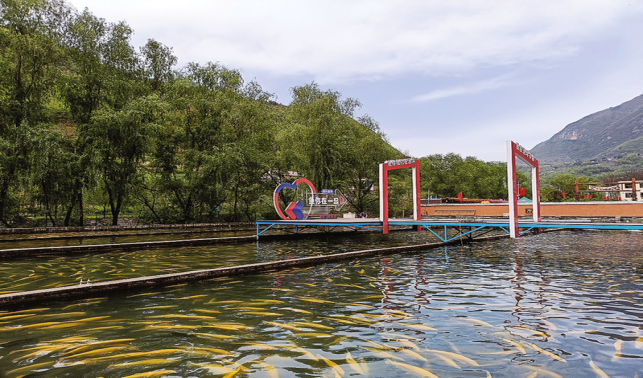 高峰鎮(zhèn) 活水潤山鄉(xiāng) 服務(wù)促振興