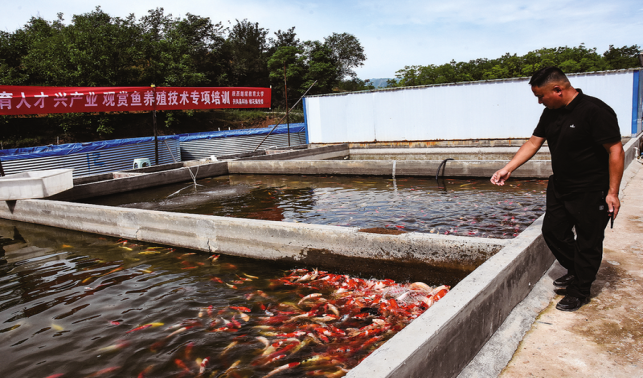 賈騫 養(yǎng)魚(yú)興產(chǎn)業(yè) 致富惠鄉(xiāng)鄰