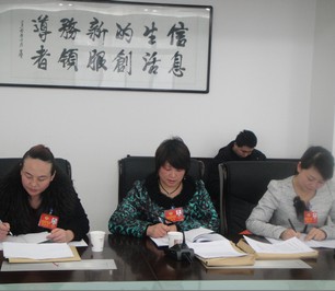 文化、衛(wèi)生界委員認真記錄委員討論內(nèi)容