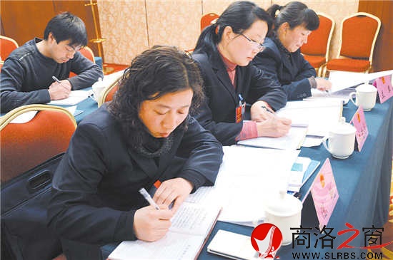 柞水團(tuán)代表正在認(rèn)真撰寫建議。 （記者 李敏 費(fèi)翔 攝）