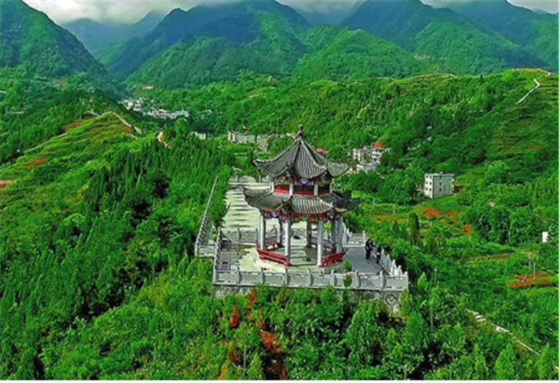 山陽縣誠惠生態(tài)農(nóng)業(yè)園區(qū)簡(jiǎn)介