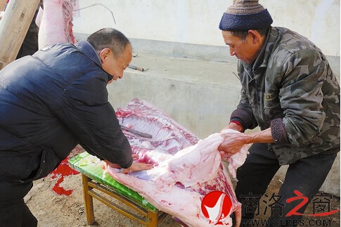 QQ截圖20150127142838.jpg