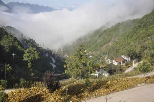 劉家溝