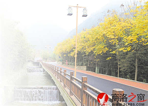 碧水、青竹、黃葉、觀景道，美麗鄉(xiāng)村竹林關(guān)的鄉(xiāng)間小道。