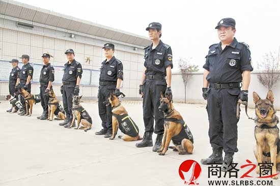 訓(xùn)犬員和他們的&ldquo;戰(zhàn)友&rdquo;隨時(shí)準(zhǔn)備出警