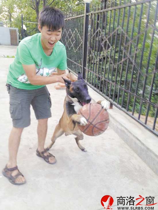 下班之余，柯厲就成了劉磊的玩伴