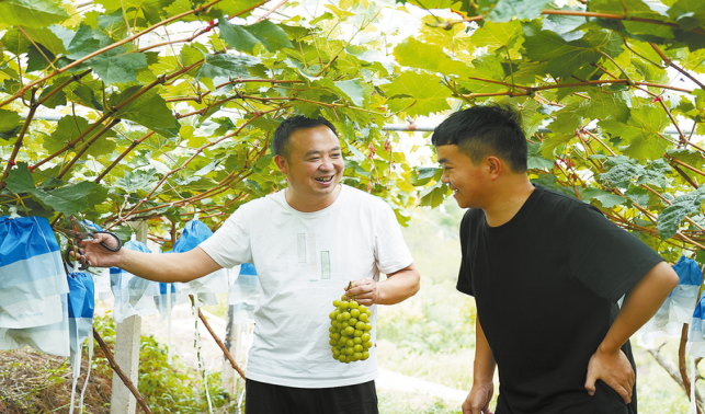 洲河北村 優(yōu)化產業(yè)布局