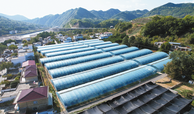 王塬村的新氣象