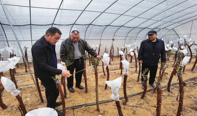 致富花開(kāi)幸福來(lái)