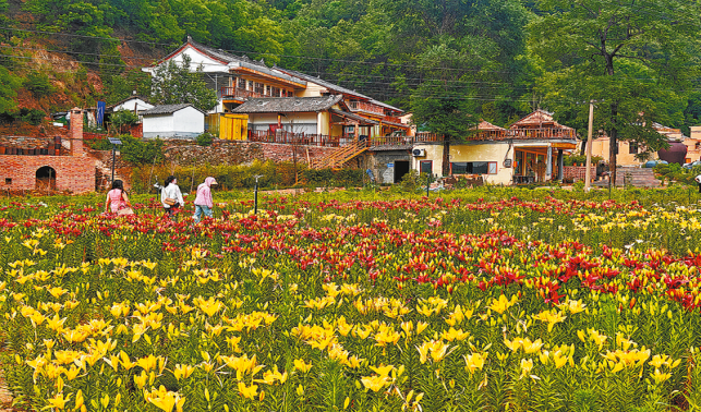 民宿火起來 鄉(xiāng)村“活”起來