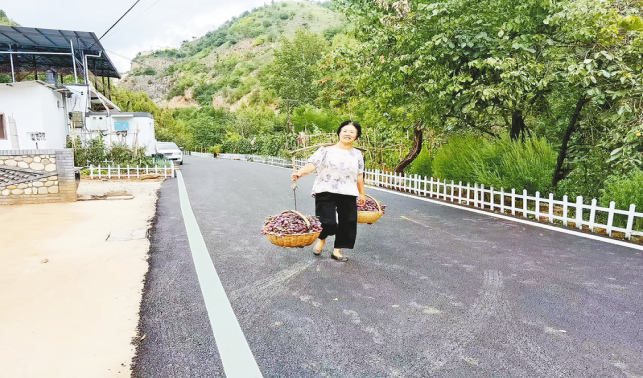 一條柏油路，串起果農(nóng)新生活