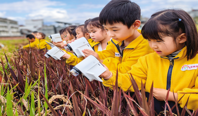 體驗農耕文化 感悟勞動之美