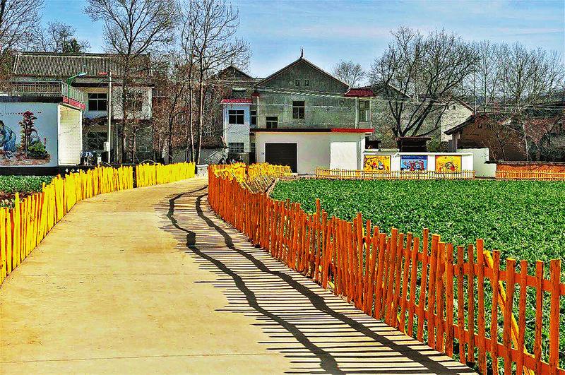 黨引領(lǐng)風(fēng)帆勁