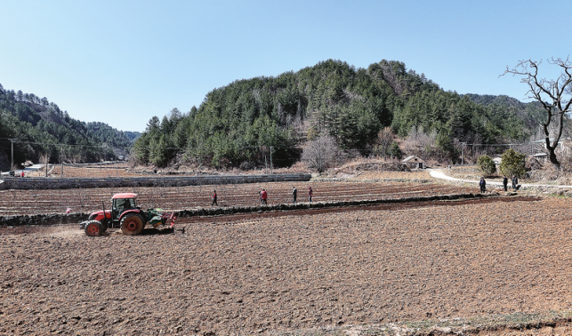 育苗種菜“加速度”