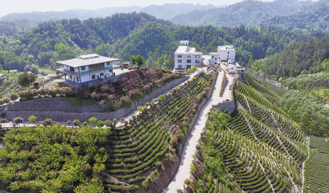 鄉(xiāng)村蝶變滿目新 振興圖景入畫來