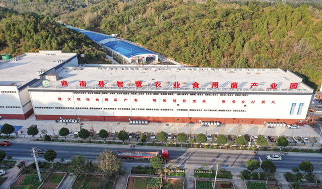 攜手推動特色產(chǎn)業(yè)高質(zhì)量發(fā)展