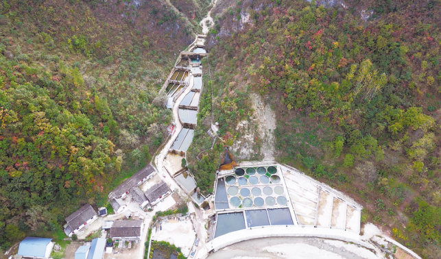 十里坪鎮(zhèn) 冷水魚“游”向大市場