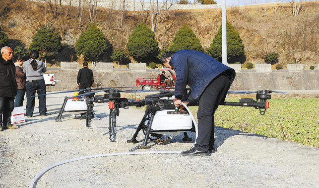 “飛防”助春管 油菜穩(wěn)豐收