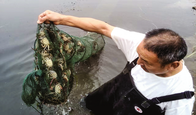 特色養(yǎng)殖為產(chǎn)業(yè)振興增活力