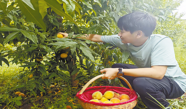 劉飛 桃園里的鄉(xiāng)村振興追夢人