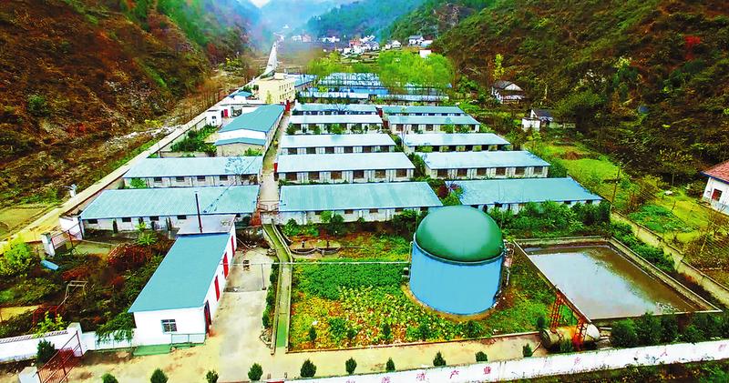 產(chǎn)業(yè)開花 扶貧結(jié)果