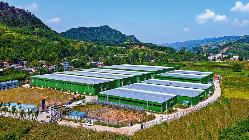 重大項(xiàng)目成為山陽(yáng)經(jīng)濟(jì)發(fā)展的強(qiáng)勁引擎和重要支撐