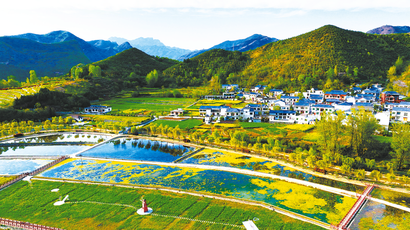 農(nóng)文旅融合，“融”出好光景