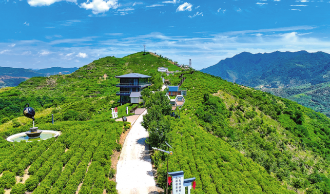 支部引領(lǐng) 產(chǎn)業(yè)興旺