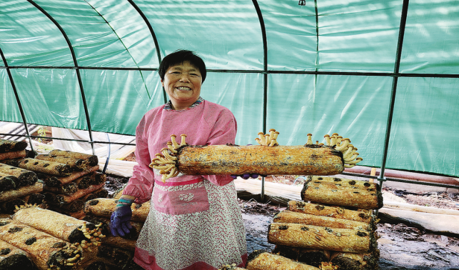 特色產(chǎn)業(yè)添活力
