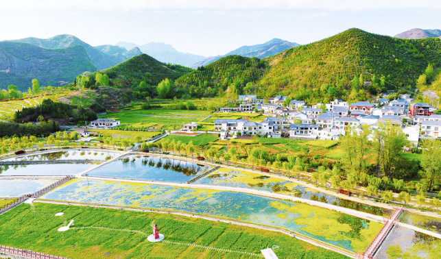 凝心聚力促發(fā)展 秦風(fēng)楚韻鋪畫卷