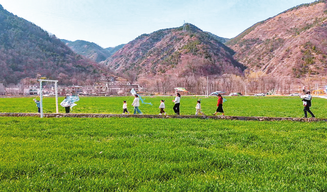 陸家灣村 文旅融合繪新景