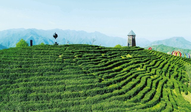 強(qiáng)基固本提質(zhì)效 擎旗奮進(jìn)新征程