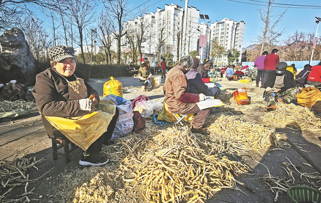 發(fā)展特色產(chǎn)業(yè) 促進群眾增收