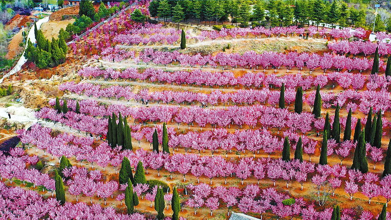 砥礪深耕謀發(fā)展 篤行致遠繪佳卷