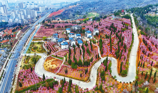 紅梅綻放迎客來(lái)