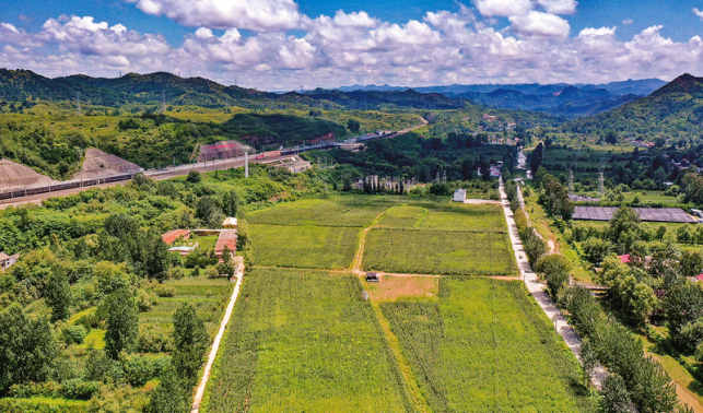 政企合作力促農(nóng)村產(chǎn)業(yè)發(fā)展