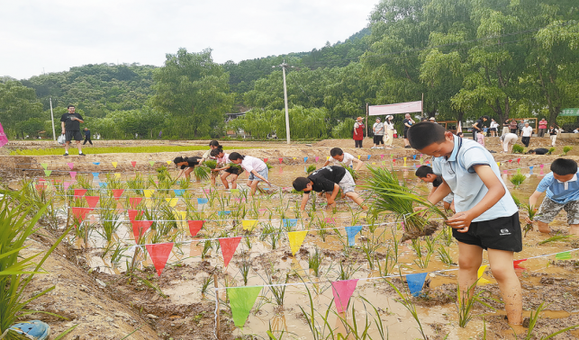 “稻香田園?樂享農(nóng)耕”插秧大賽在閆坪村舉辦