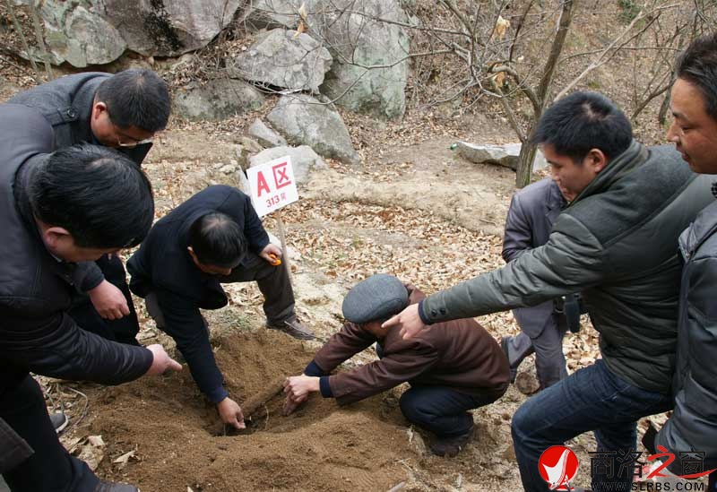 商南縣政府開展送政策、送技術(shù)、送溫暖活動(dòng)