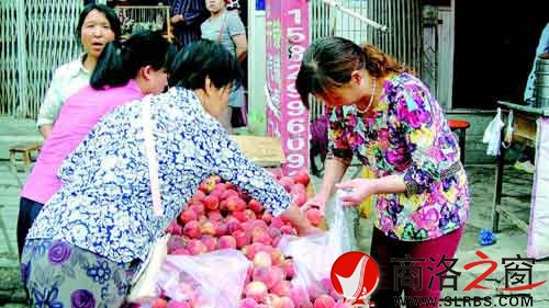 隨處流動(dòng)的小商販也不乏購買者。