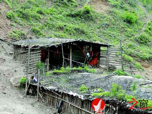 王占民山頂?shù)姆孔优c牛棚相連，房頂長滿了野草。