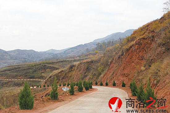 已經(jīng)完成普修的王山底至?xí)?，兩旁栽植了青翠的松柏行道樹? width=